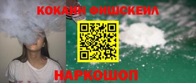 jwh Бийск