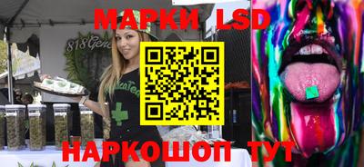 jwh Бийск