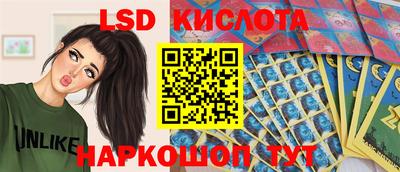 мяу мяу мука Беслан