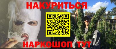 jwh Бийск