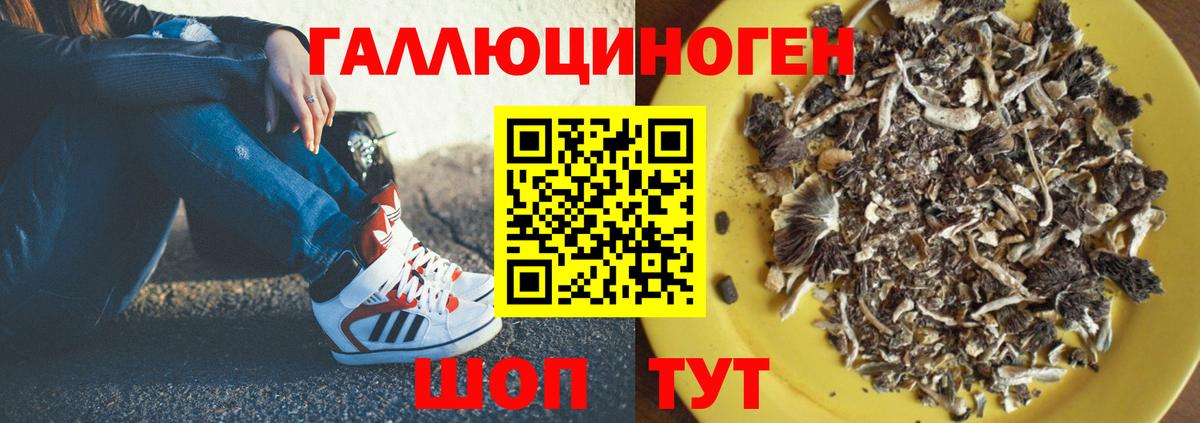 Качканар  цены наркотик  Псилоцибиновые грибы Psilocybine cubensis  Вход с VPN  Галлюциногенные грибы мухоморы 